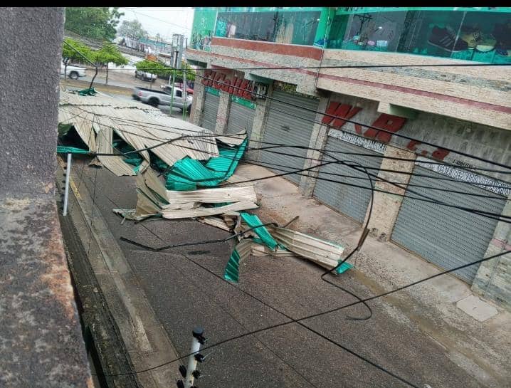 Lluvia en Ciudad Ojeda: árboles derrumbados y techos arrancados