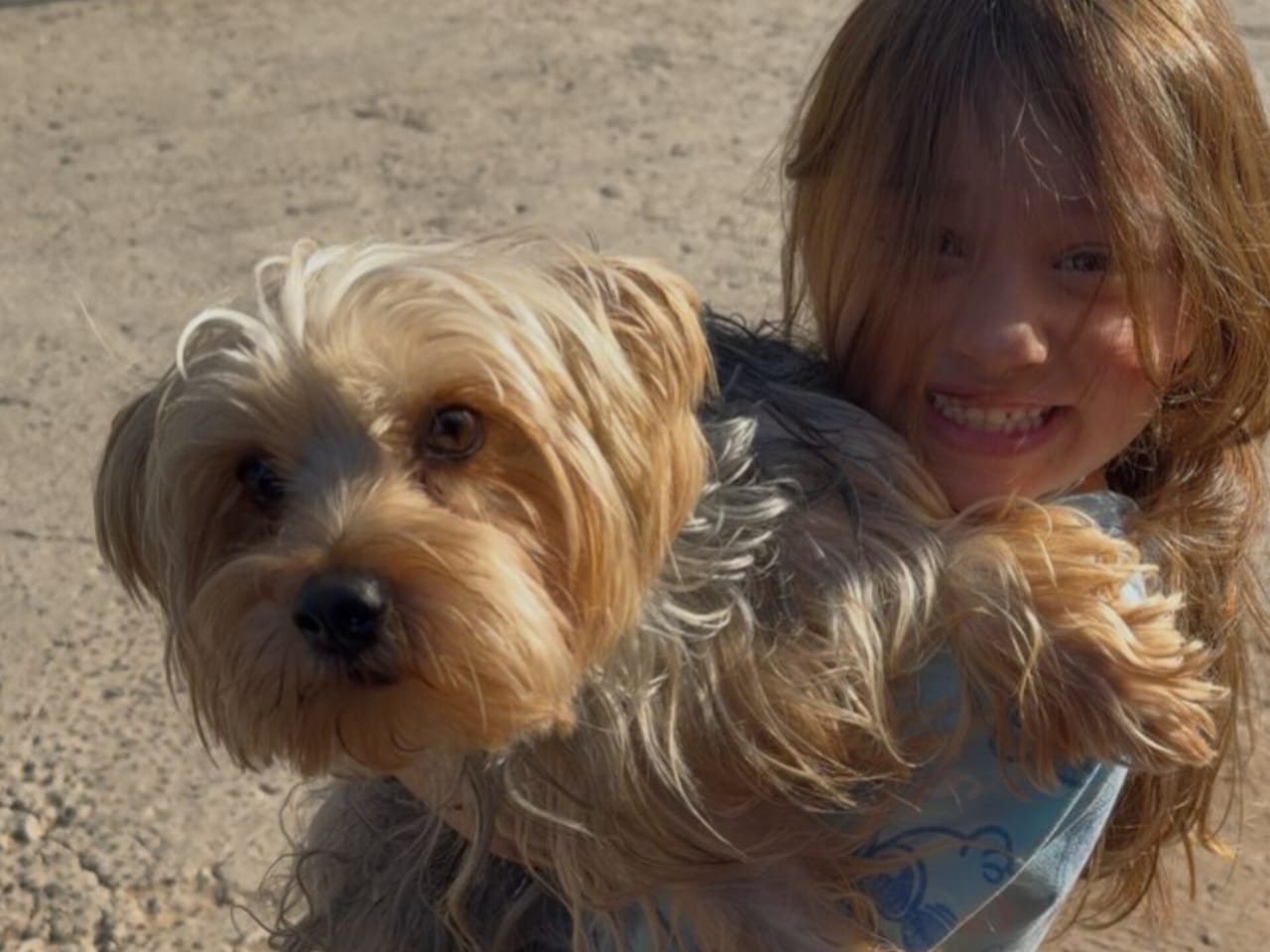 Apareció ‘Tommy’ y le volvió la sonrisa a la niña Carlotta