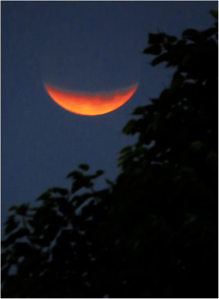 El Eclipse de Luna en el lente de Baüer