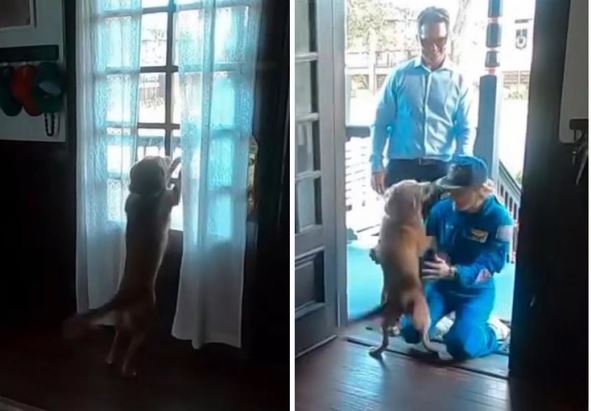 Astronauta regresa de la Luna y esta es la reacción de su perrita al verla