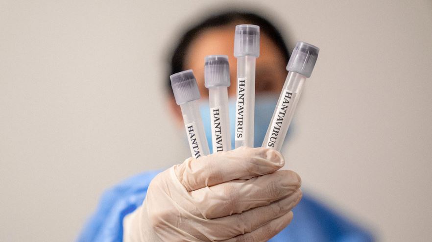 OMS aclara y da detalles de cómo se propaga la cepa del hantavirus que tiene en vilo al mundo