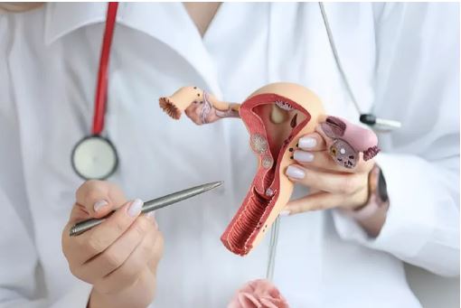 Día Mundial del Cáncer de Ovario: por qué se recuerda el 8 de mayo