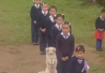 ¡Para comérselo! Perrito se vuelve viral por su 