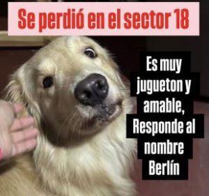 Ayúdanos a encontrar a Berlín en San Jacinto